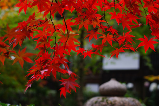 628104 (a): :2560x1700